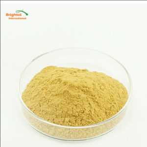 Dang Gui (Angélica) PE Mercado Demanda-Oferta