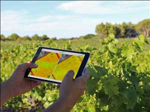 Agricultura digital Mercado