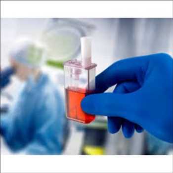 Global Microbiorreactores Cuota de mercado