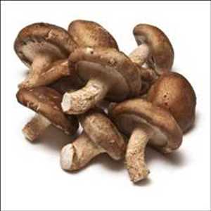 Setas shiitake Mercado