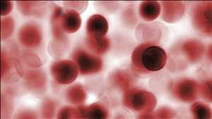 ómicas unicelulares Pronóstico del mercado