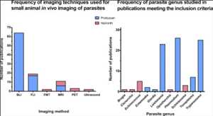 Imágenes de animales pequeños (in-vivo) Pronóstico del mercado