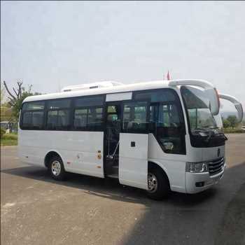 Global Bus pequeño Margen de crecimiento del mercado