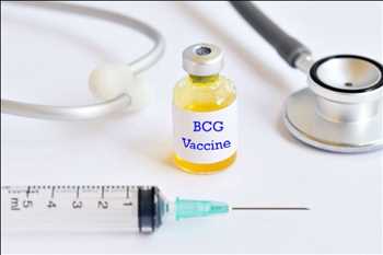 Global Vacunas terapéuticas BCG información sobre el mercado