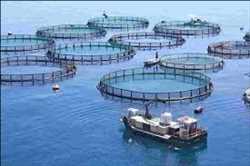 Global-Aquaculture-Cages-Market