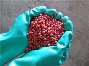 Global-Agriculture-Seed-Treatment-Market