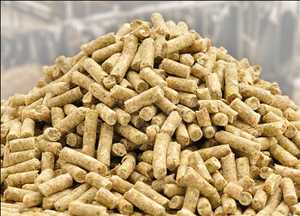 Global-Animal-Feeds-Additives-Market