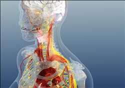 Global-Bio-Electronic-Market