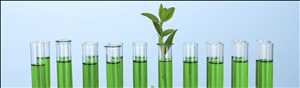 Global Químicos Bio-Renovables Cuota de mercado