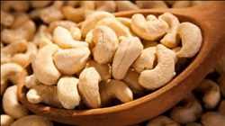 Global-Cashew-Nut-Processing-Equipment-Market