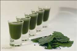 Global-Chlorella-Vulgaris-Market