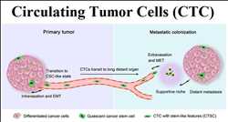 Global-Circulating-Tumor-Cells-CTC-Market