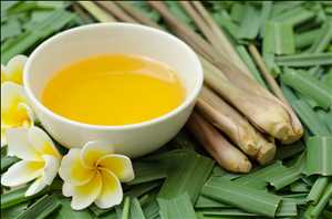 Global-Citronella-Oil-Market