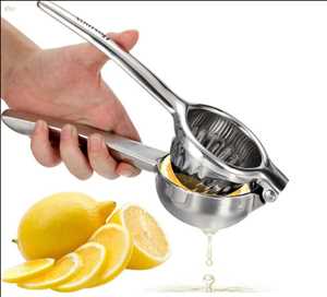 Global-Citrus-Press-Market