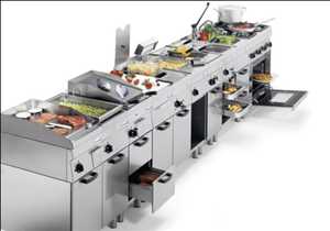 Global Equipos/electrodomésticos de cocina comercial Cuota de mercado de la empresa