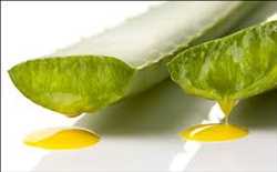 Global-Cosmetics-Grade-Aloe-Extract-Market