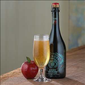 Global-Craft-Cider-Market