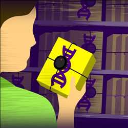 Global-Direct-to-Consumer-Testing-Market