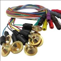 Global-Eeg-Electrodes-Market