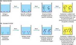 Global-Enzyme-Linked-Immunosorbent-Assay-Market