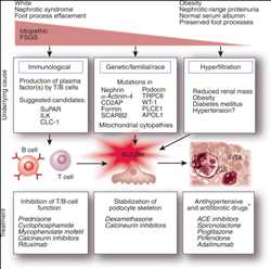 Global-Focal-Segmental-Glomerulosclerosis-FSGS-Treatment-Market