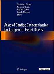 Global-Heart-Catheterization-Market
