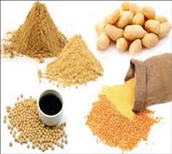 Mercado mundial de proteínas vegetales hidrolizadas