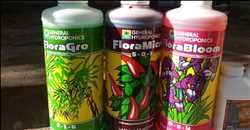 Global-Hydroponic-Nutrients-Market