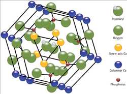 Global Hidroxiapatita Pronóstico del mercado