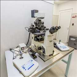 Global-IVF-Instruments-Market