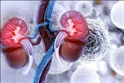 Global-Kidney-or-Renal-Cancer-Drugs-Market