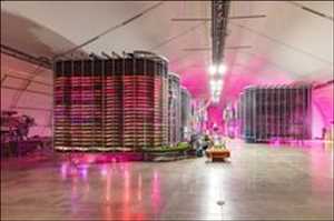 Global-Livestock-Grow-Lights-Market