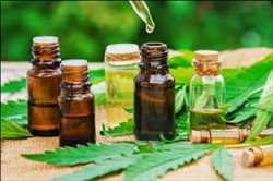 Global-Medical-Cannabis-Market