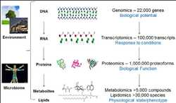 Global-Metabolomics-Reagents-Market
