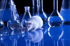 Global-Metastatic-Melanoma-Drug-Market
