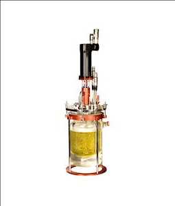 Global-Mini-Bioreactor-Market