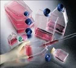 Global-Monoclonal-Antibody-Custom-Service-Market