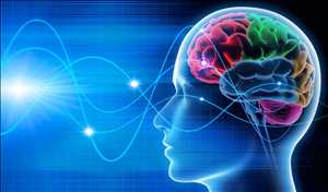 Global-Neuromarketing-Technology-Market