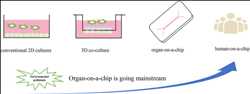 Global-Organ-On-Chip-OOC-Market