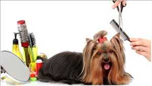 Global-Pet-Grooming-Market