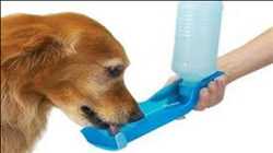 Global-Pet-Healthcare-Product-Market