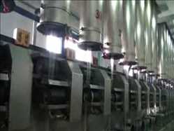 Global Fibra cortada para mascotas Demanda de mercado