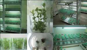 Global-Plant-Cell-Culture-Equipment-Market