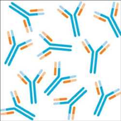 Global-Primary-Antibodies-Market