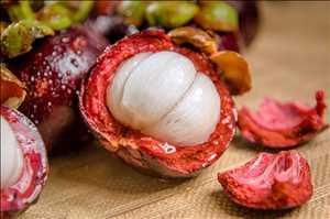 Global-Processed-Mangosteens-Product-Market