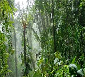 Global-Professional-Skincare-Market