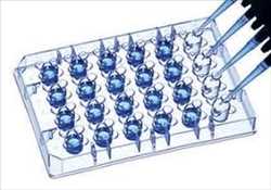 Global Cristalización de proteínas Tendencia del mercado