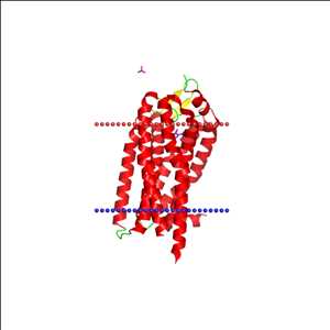 Global-Proteinase-Activated-Receptor-2-Market