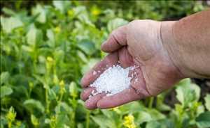 Global-Secondary-Macronutrients-Market