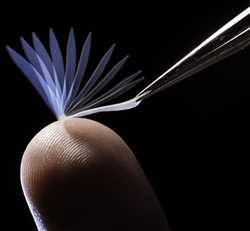 Global Polímeros inteligentes Industria de mercado